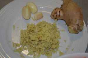 Vege Stir Fry -Chicken 013